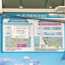 [거제 저도 후기] 대통령 별장 있는 섬, 거제저도유람선 타고 저도 탐방 후 군소비빔밥까지