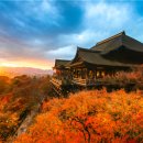 251127 해외여행 출발전 안내 [오사카 교토 고베 유니버셜 일본/이스타항공 인천공항] 이미지