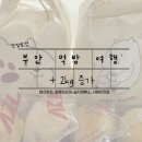 [부안] 전북 부안 맛집 추천 먹방 코스 추천 - 변산횟집, 할매피순대, 슬지제빵소, 젓갈 구매...