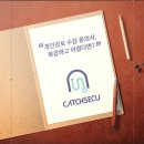 캐치비전 이미지