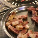 통통생고기 이미지