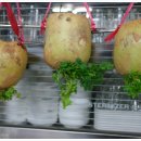 시골한우 이미지