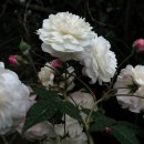 남지요양병원 이미지