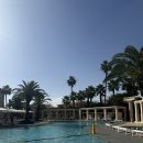 더 시에나 리조트 | [제주도 여행 숙소] 더 시에나 리조트 후기(feat. 시에나 골드라떼)