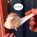 레츠고투어 네이버블로그
