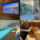 핀란드의아침 | 포천 핀란드식 사우나 온수풀 [ 글램파크 글램핑 카라반 ] 테라스 카라반 가든뷰 후기