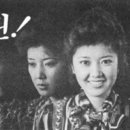 삼진제약(주) 이미지