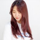 필헤어 - 안산시 단원구 와동 | 필헤어 의정부점 아이롱 온도 사용 후기와 손상 관리 포인트