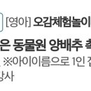 오감플러스원 이미지