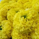 농업회사법인 (주)행복한농장 이미지