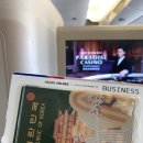 541 | 인천(ICN)⇒프랑크푸르트(FRH,T1) : 아시아나(OZ541) 비지니스 후기