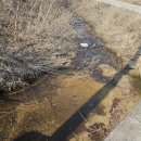 간성농장 이미지