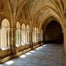 원어민 스페인어(기초) 이미지