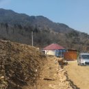 돌담하우스(민박) 이미지