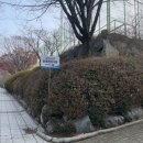 황송인조잔디구장 이미지