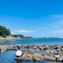화인공원 | [제주서귀포] 아이와 제주도 천연수영장 자구리담수욕장 물놀이 (ft.자구리공원)