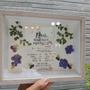 세라캘리 이미지