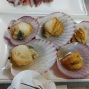 해송횟집 이미지