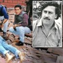 하마 농장 이미지