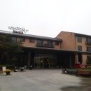 DMZ, 평화의 편지 이미지