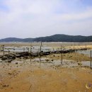 서해바다 이미지