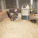 문영식 농장 이미지