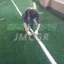 춘양면사무소 이미지