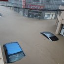 태풍카센타 이미지