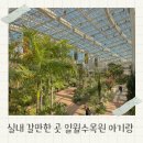 일월수목원 입장료 카페 유모차 아기랑 방문