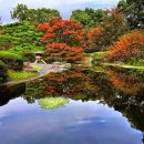 평촌라츠오피스텔 이미지