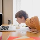 바른자세스트레칭 이미지