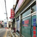 대성체육사 Daum카페
