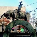 돈키호테-무식한 소 이미지