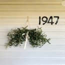 1947익산펜션2 이미지