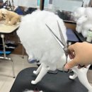 핸섬가위 이미지