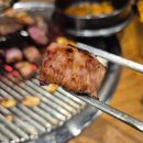 탄뿔