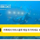 로맨틱다이브센터&리조트