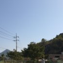 퍼니멍멍 장미애견펜션 | 가평 퍼니멍멍 장미애견점 펜션 1박 남이섬 첫 가족여행