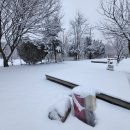 갈비촌주유소 이미지