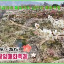 천만금