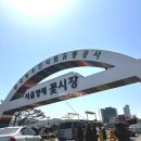 유정종합유통 | 양재꽃시장 영업시간 변경사항 주차장 총정리 내부안내, 부모님 셀프꽃다발 선물하기