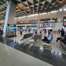 옥하참옻닭 이미지