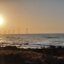 아화약국 이미지