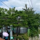 자혜공원 물놀이장 이미지