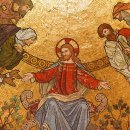 신호축사 이미지