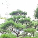 소사농장 이미지