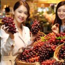 홍주유통 이미지