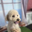 부주동 근린공원 이미지