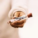 태자상회 이미지