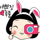 나인시스터플라워카페